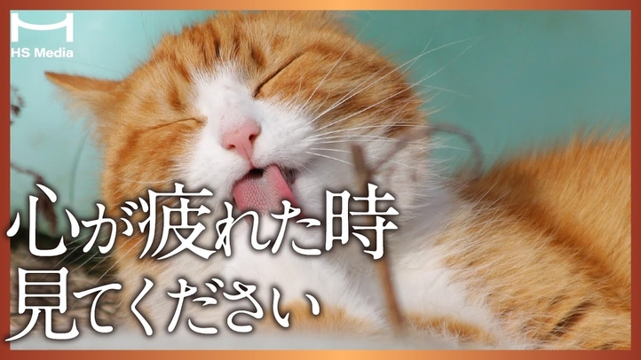 人間関係のストレスを解消する４つのヒント