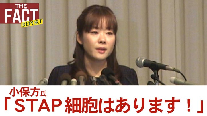 「STAP細胞はあります!」 4月9日反論会見 小保方氏本人と守護霊が激白!!【ザ・ファクト REPORT #3】