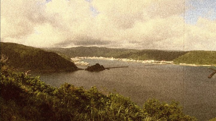 【現地レポート】奄美大島に数千人の中国人観光客を乗せたクルーズ船寄港計画が進行中! 住民の不安の声を緊急レポート[【ザ・ファクトREPORT】